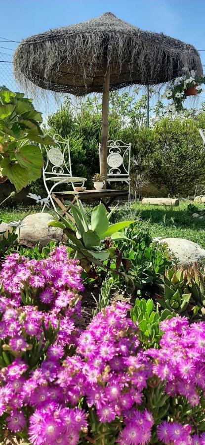 Blacksheep Sagres Guesthouse & Surf Eksteriør bilde